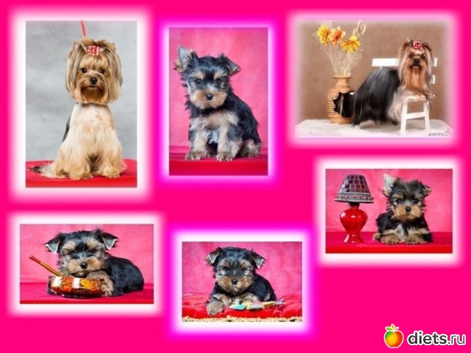 4 ����: ������