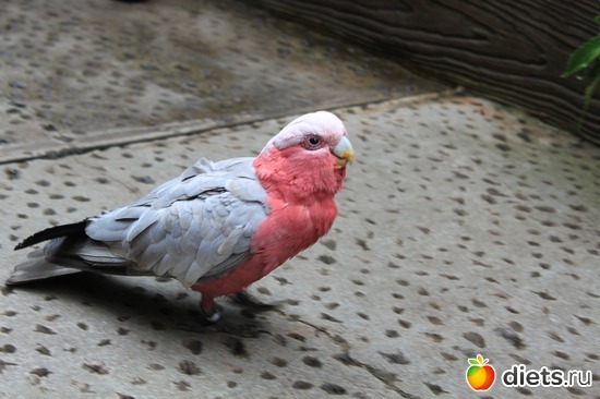 3 ����: �������� 2013