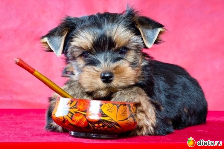 5 ����: ������