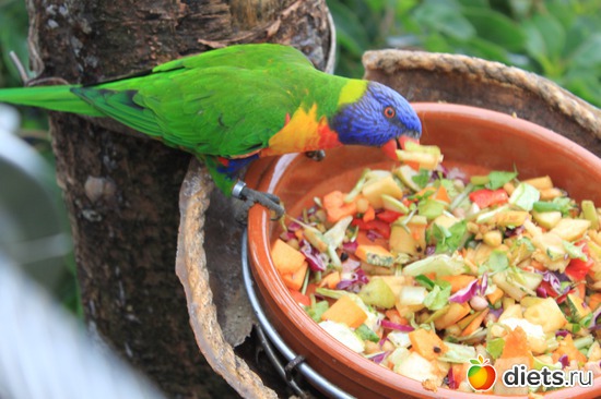 4 ����: �������� 2013