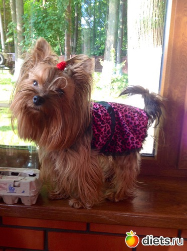 6 ����: ������