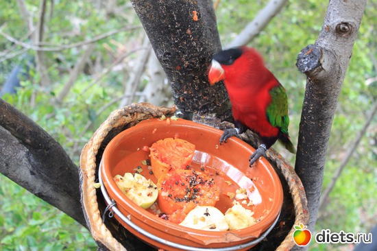 5 ����: �������� 2013