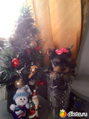 7 ����: ������