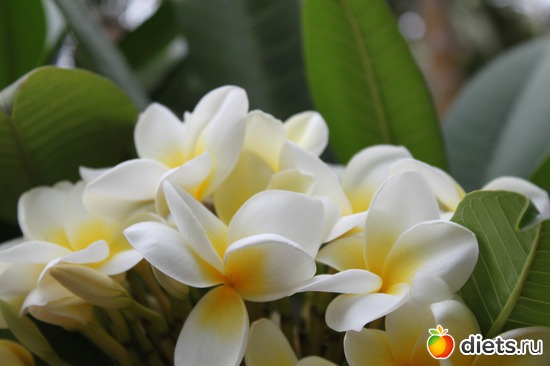 6 ����: �������� 2013