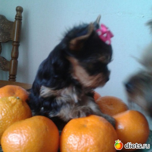 8 ����: ������