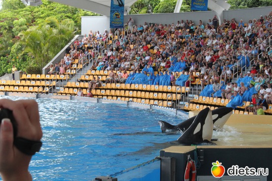 7 ����: �������� 2013