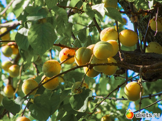 40 ����: �����-����-����� 2013 - 2015