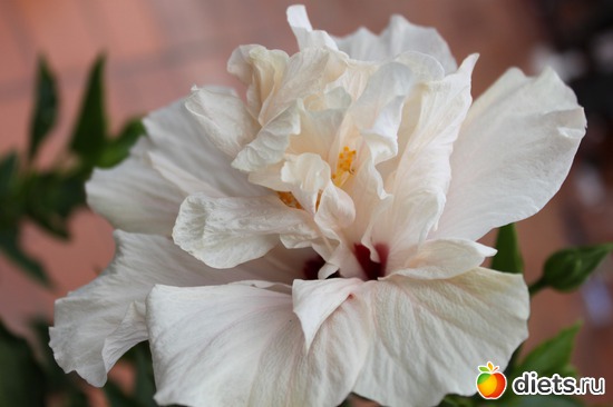 8 ����: �������� 2013