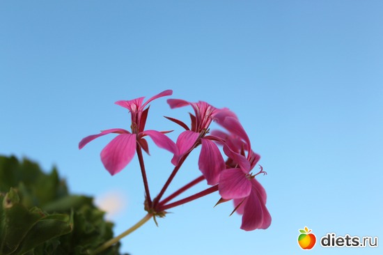 9 ����: �������� 2013