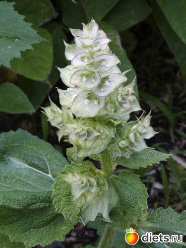 ������, ������: �����-����-����� 2013 - 2015