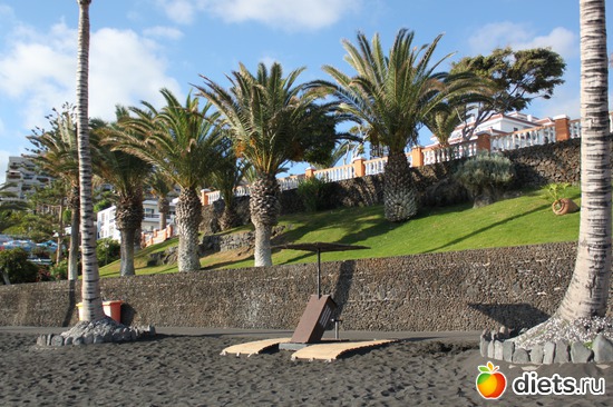 10 ����: �������� 2013