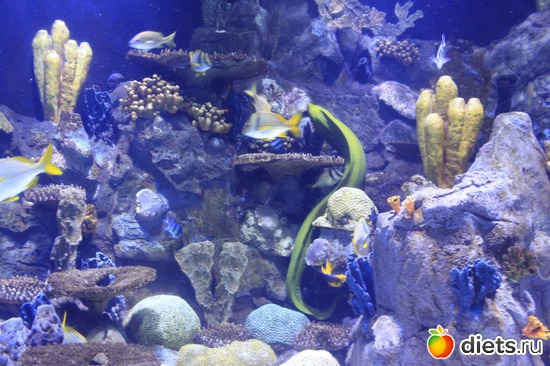 13 ����: �������� 2013