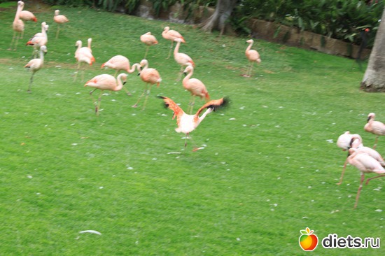 14 ����: �������� 2013