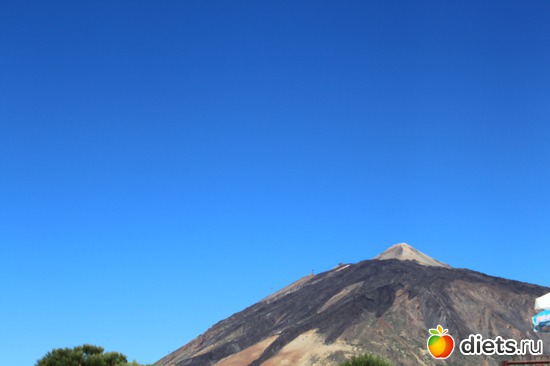 16 ����: �������� 2013