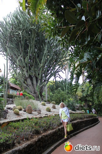 1 ����: �������� 2013