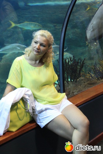 12 ����: �������� 2013