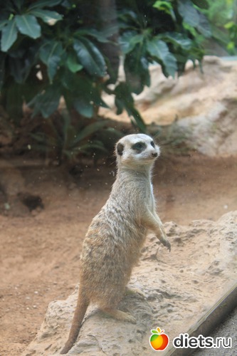 11 ����: �������� 2013