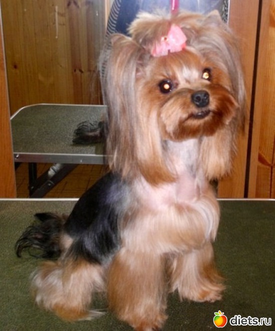 9 ����: ������