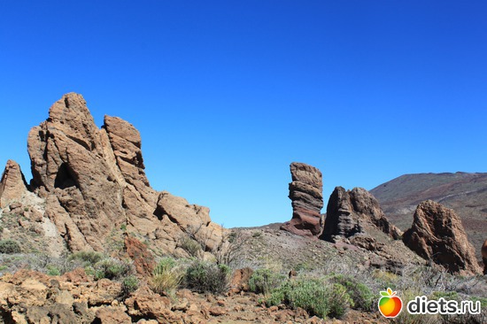 18 ����: �������� 2013