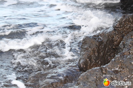 19 ����: �������� 2013