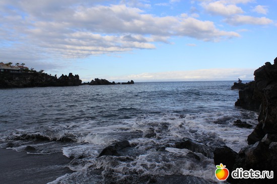 20 ����: �������� 2013