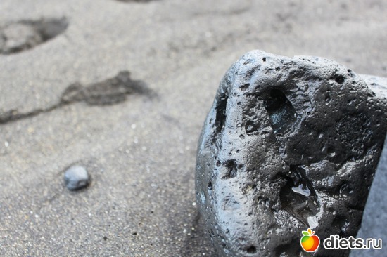 21 ����: �������� 2013