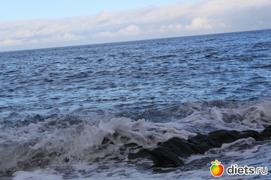 22 ����: �������� 2013