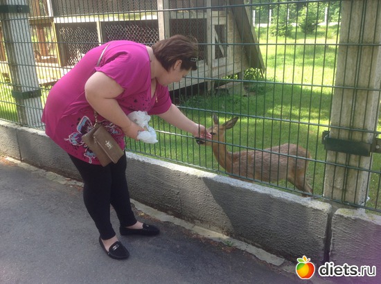 ������ ��������, ������: ������ 2013