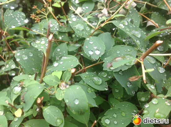 6 ����: ������ 2013