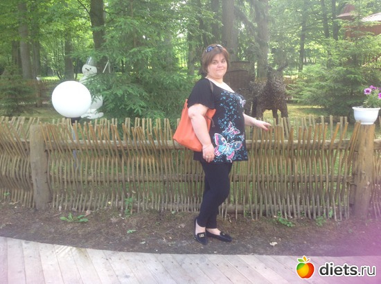 ����� �, ������: ������ 2013