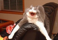 ���� ���� �� ����� ����.