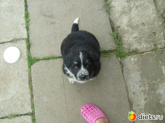 6 ����: ������