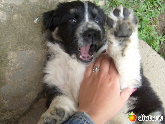 7 ����: ������