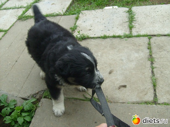 8 ����: ������