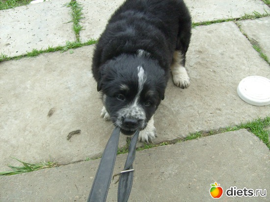 9 ����: ������