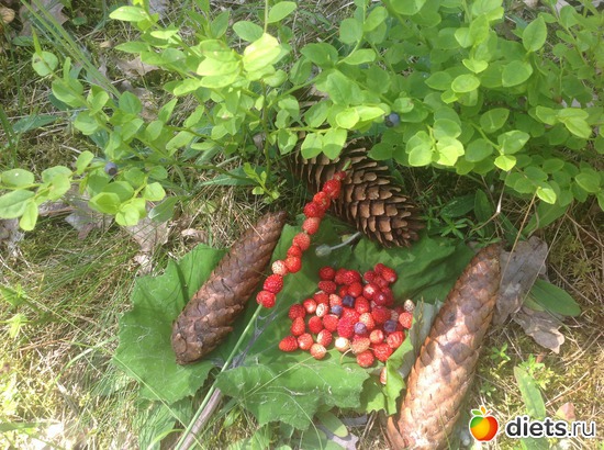 ������ ��������� ���� � �������, ������: ������ 2013