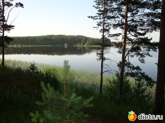 �������, ������: �������