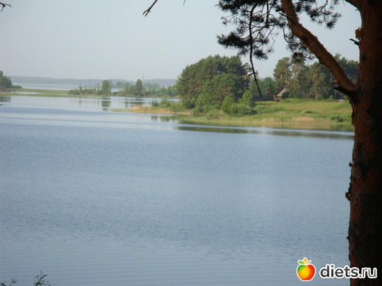 2 ����: �������