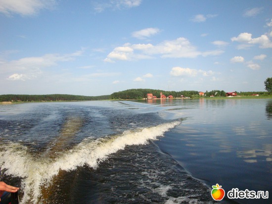 5 ����: �������