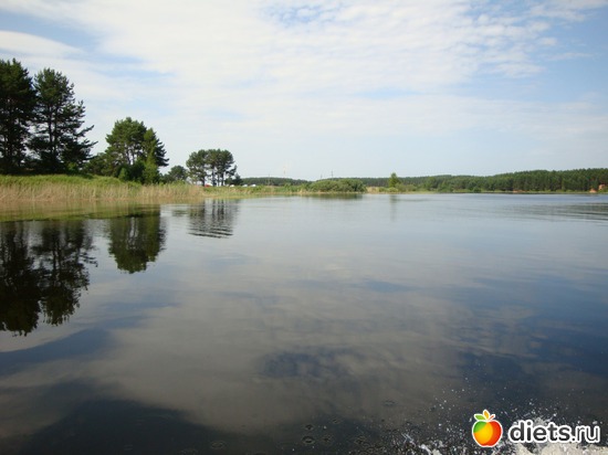 9 ����: �������