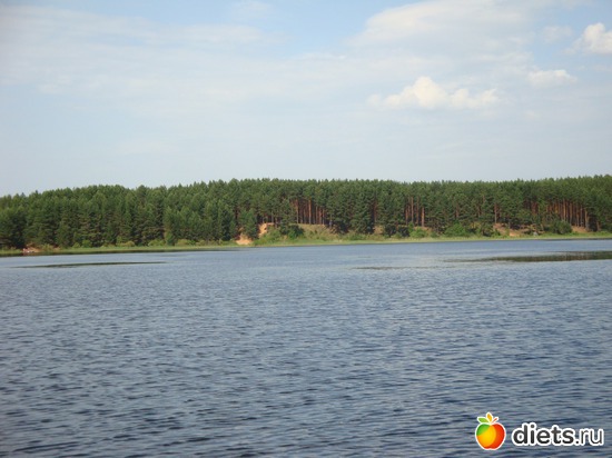 10 ����: �������