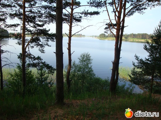 11 ����: �������