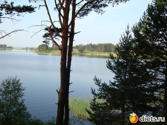 12 ����: �������