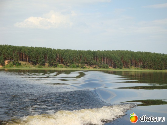 13 ����: �������