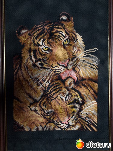 ����� (��� ������ ������), ������: �������