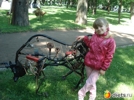 2 ����: ������������� ���� ������, ������������ ����.