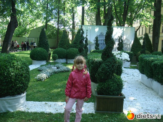 3 ����: ������������� ���� ������, ������������ ����.