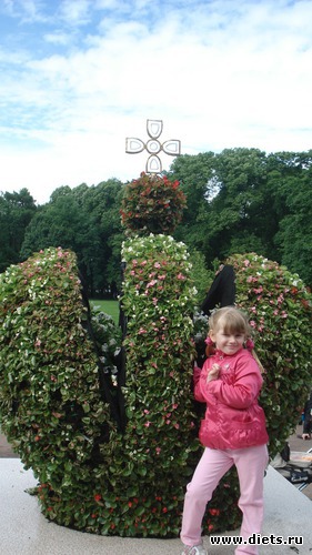 10 ����: ������������� ���� ������, ������������ ����.