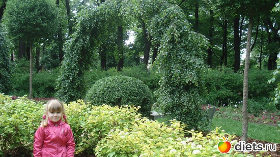 12 ����: ������������� ���� ������, ������������ ����.