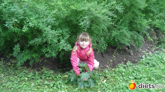 15 ����: ������������� ���� ������, ������������ ����.